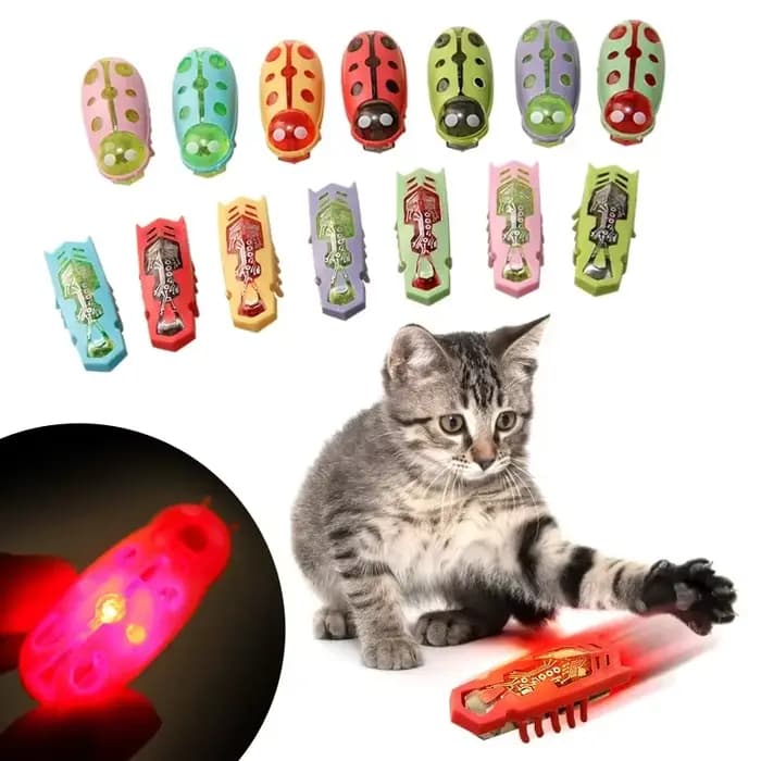 Jouet électrique drôle pour chat