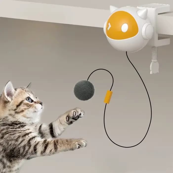 Jouet pour chat à levage automatique