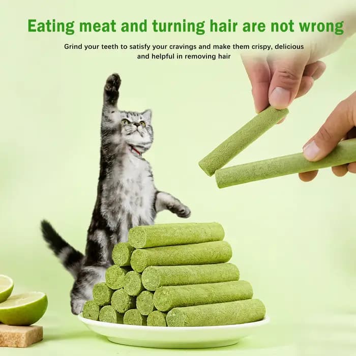 Bâtonnets de herbe pour chat lyophilisés