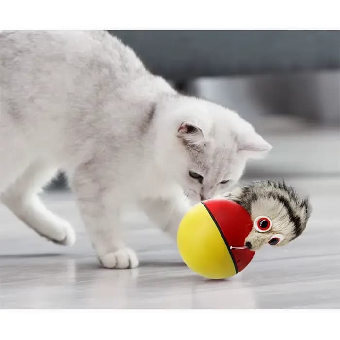 Jouets de balle interactifs pour chat