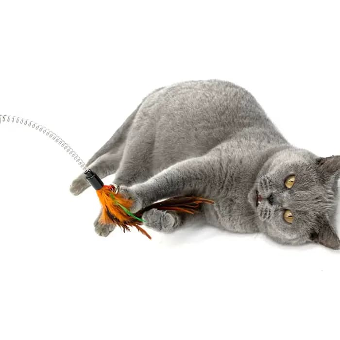 Jouet de printemps pour chat