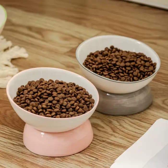 Bol pour chat 1 pièce, bol de nourriture incliné en céramique