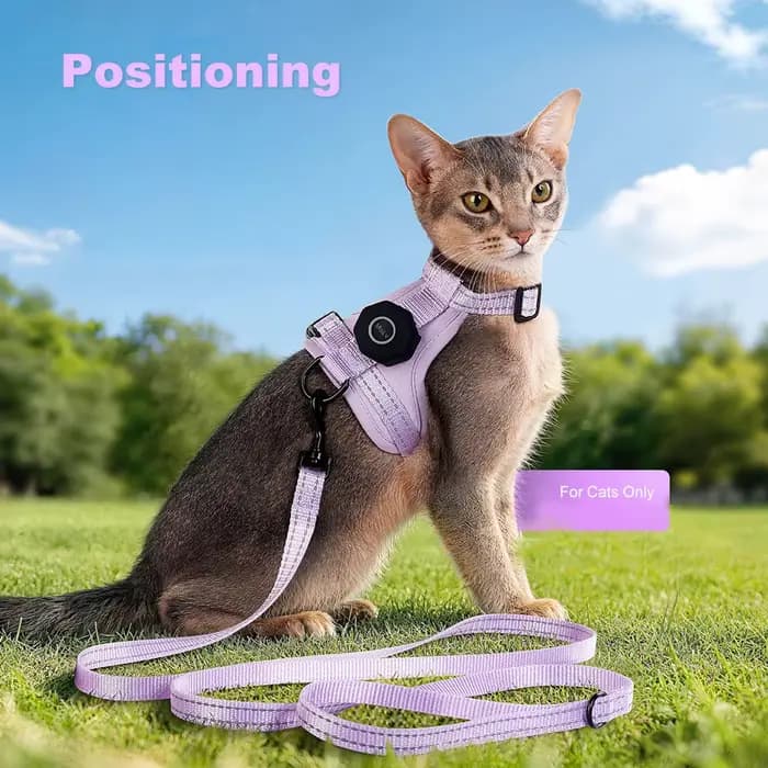 Harnais anti-évasion pour chat avec poche pour traceur GPS
