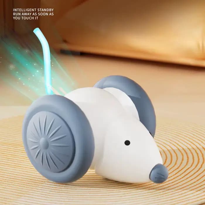 Jouet interactif pour chat