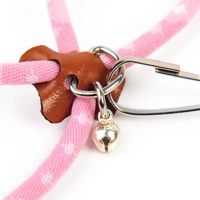 Laisse SFP souple réglable pour petit animal de compagnie