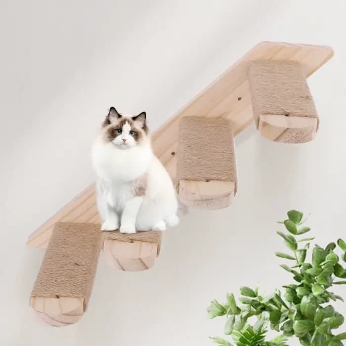 Étagère murale d'escalade pour chat