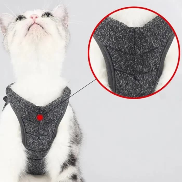 Ceinture Anti-fuite réglable pour petit chat