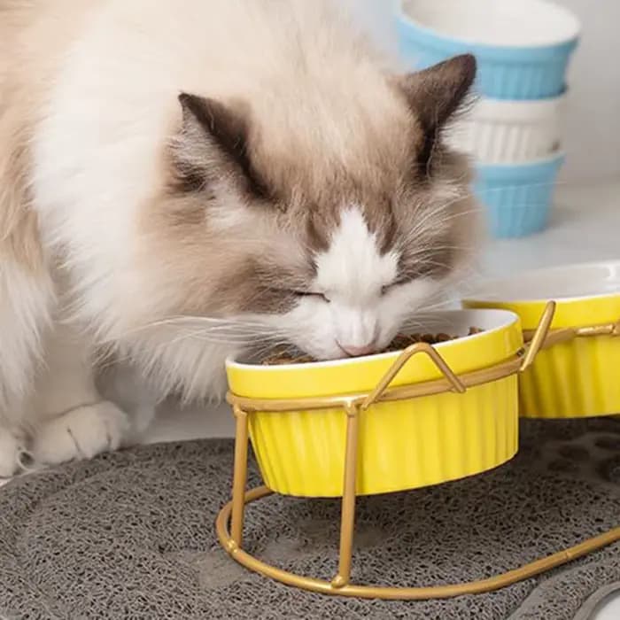 Support surélevé de bols de chat rétro