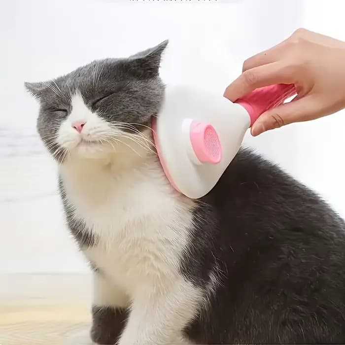 Brosse de toilettage pour chiens et chats
