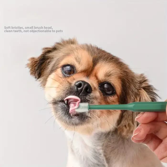 Brosse à dents 360 degrés pour animaux de compagnie