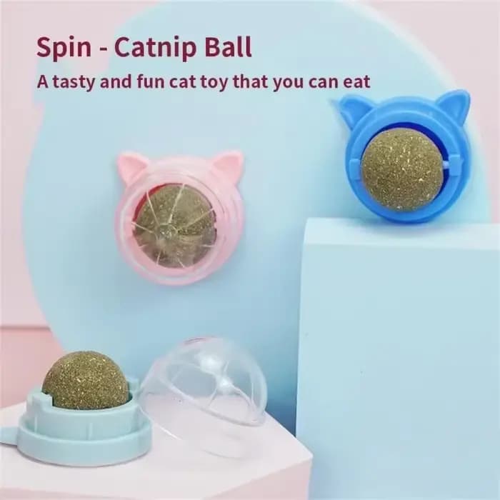 Snacks d'herbe pour chat