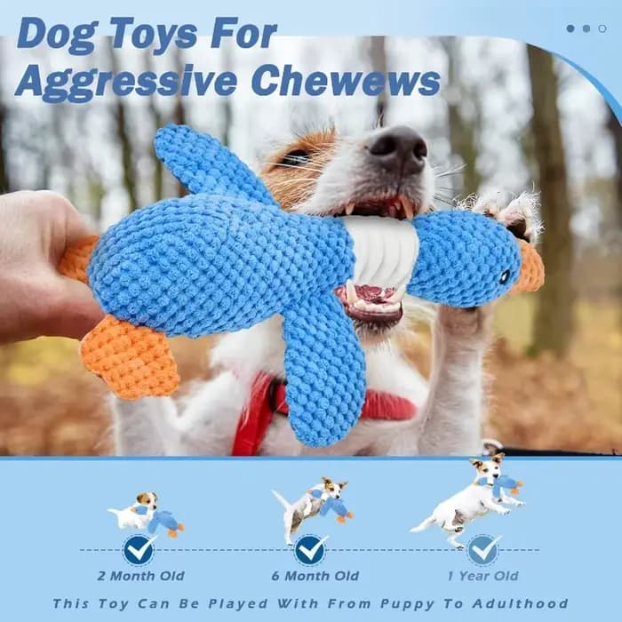 Jouets pour chats et chiens agressifs