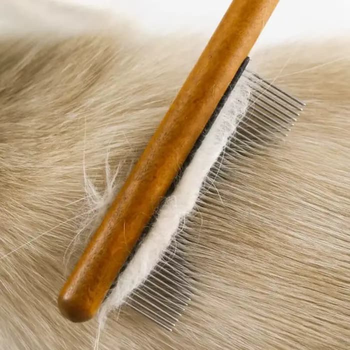 Peigne pour chat, brosse en bois, dissolvant de poils d'animaux, brosse de Massage pour chats, peignes de toilettage pour chats, ouverture des nœuds, brosses pour chiens
