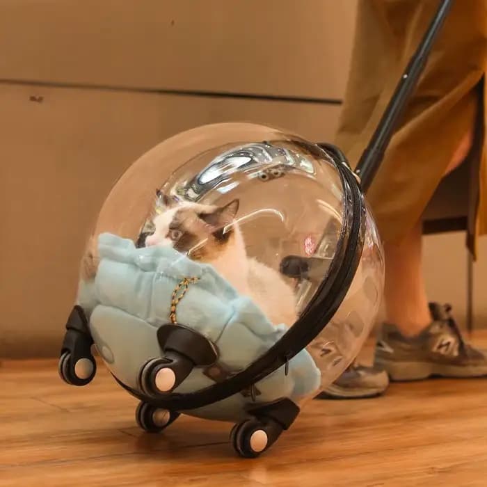 Sac de voyage portable pour chat