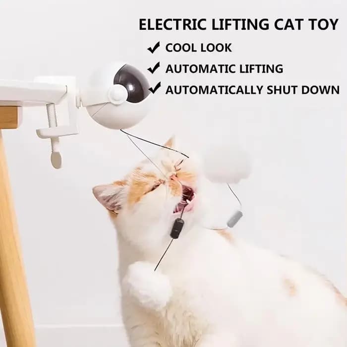 Jouet à mouvement électronique pour chat