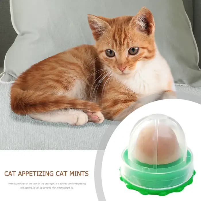Bonbons à lécher l'herbe à chat pour chaton