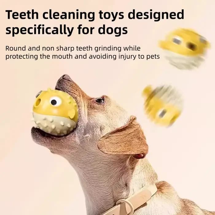 Jouet pour chien durable et résistant aux morsures