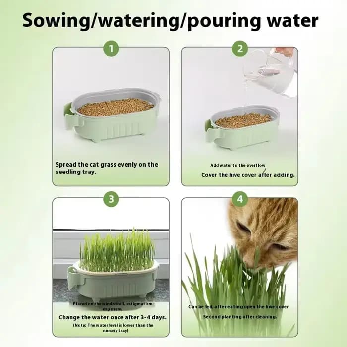 Kit de jardinière d'herbe pour chat biologique