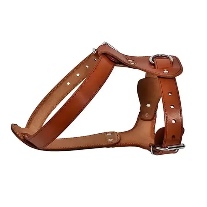Harnais en cuir véritable pour chien et chat