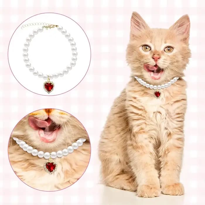 Collier de perles pour animaux de compagnie