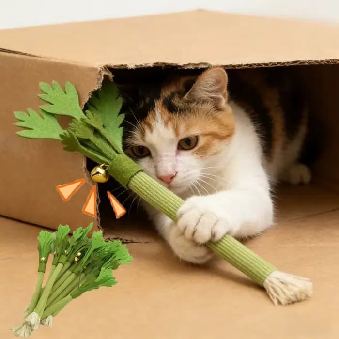 Jouets à mâcher pour chats