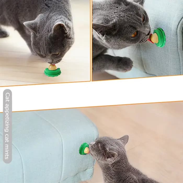 Chat herbe-aux-chats léchant bonbons Snack pour chaton Nutrition poisson Gel énergie sucre boule