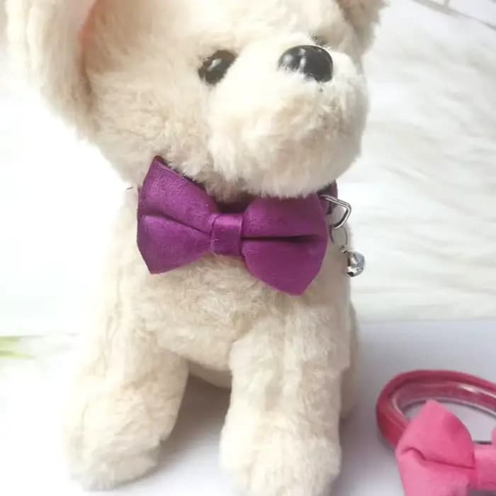 Collier pour animaux de compagnie en velours