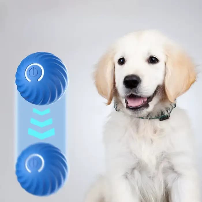 Balle de jeu pour animaux de compagnie