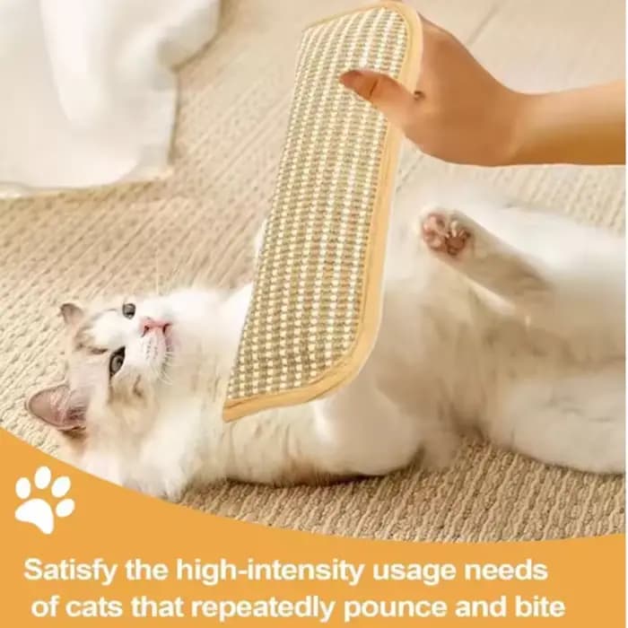 Jouets interactifs pour chat