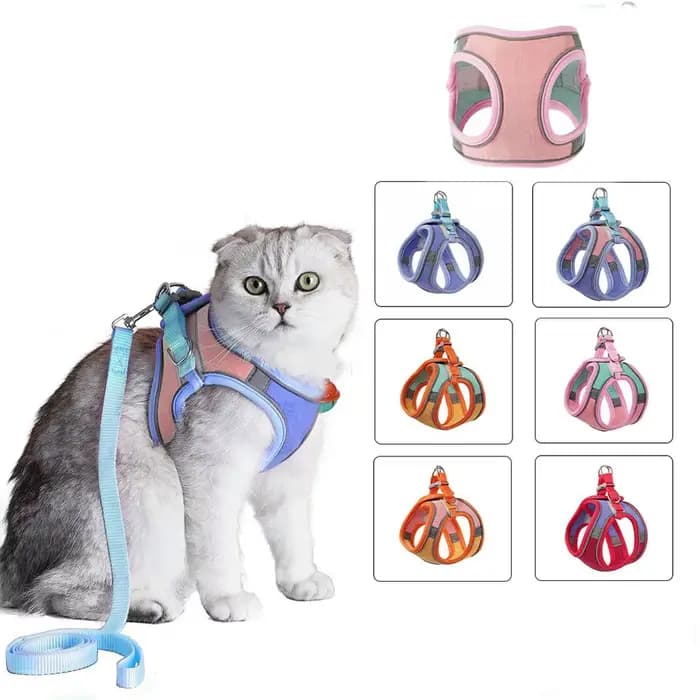 Ensemble de laisse et de collier pour chat
