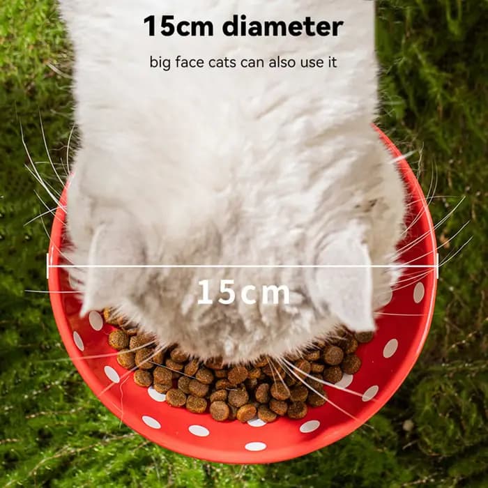 Bol pour chat en céramique de 6 pouces