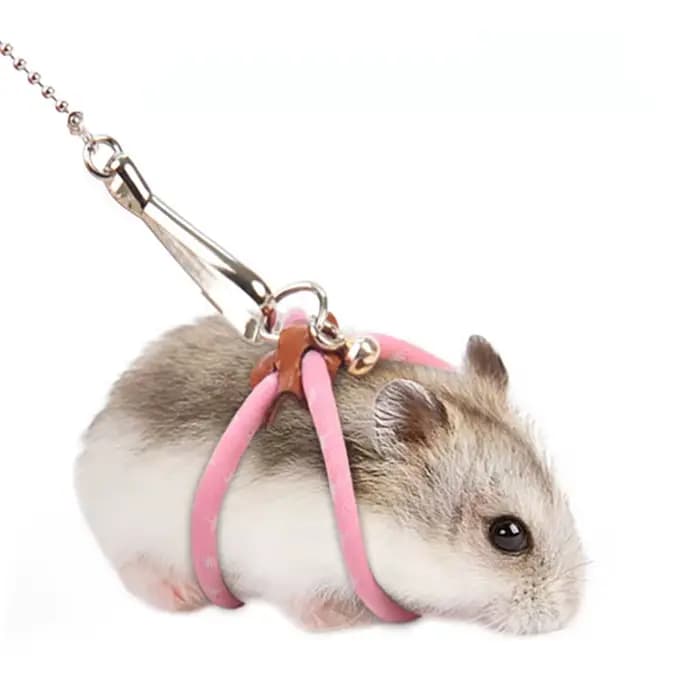 Laisse SFP souple réglable pour petit animal de compagnie
