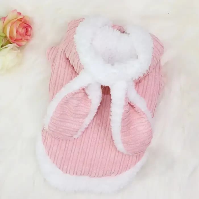 Pull d'hiver pour chat