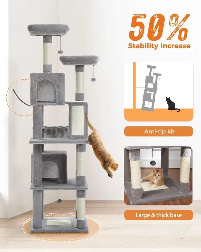 Grand arbre à chat pour intérieur
