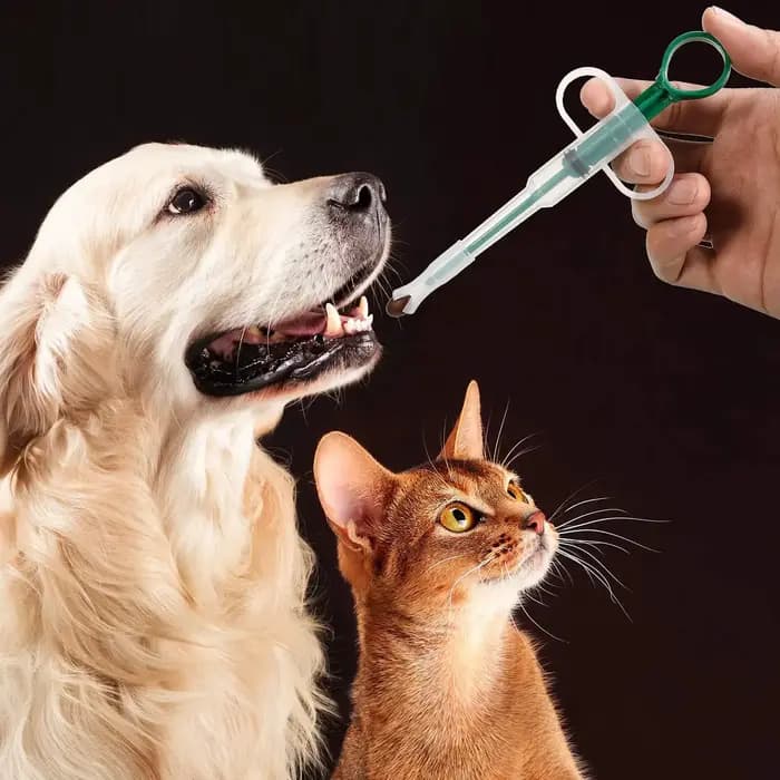 Distributeur de médicaments pour animaux de compagnie