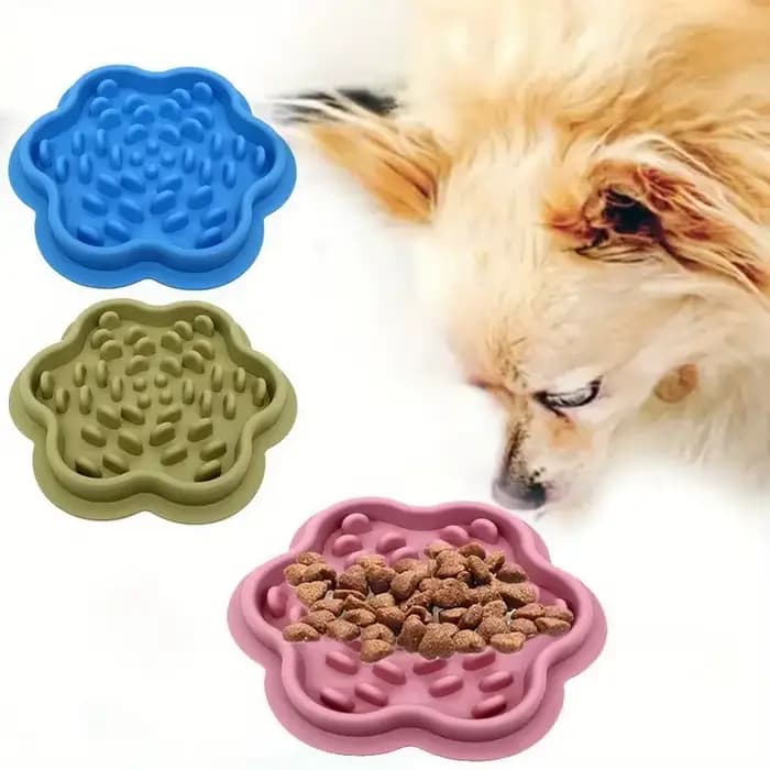 Plat d'alimentation pour animaux de compagnie