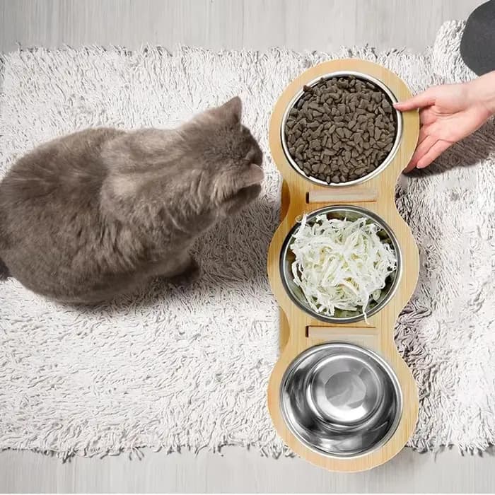 Bols surélevés pour chien et chat