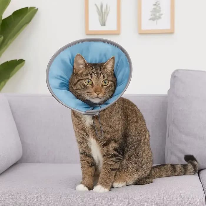 Collier anti-léchage pour animaux de compagnie
