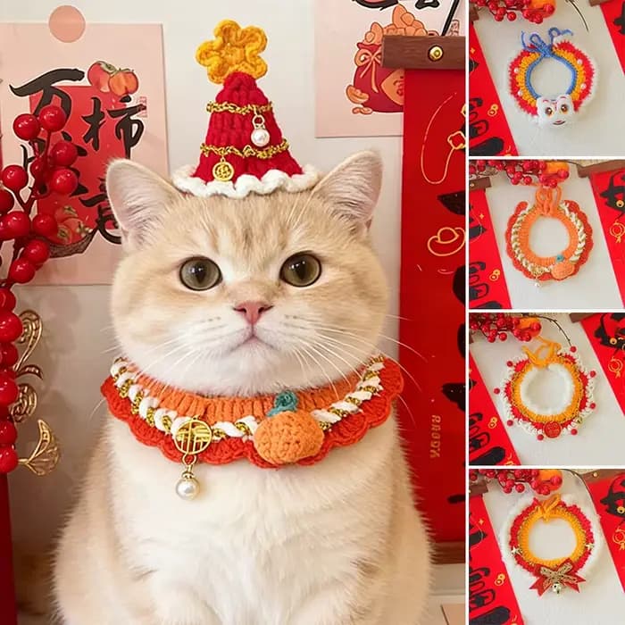 Vêtements pour chat, Costume pour chiot
