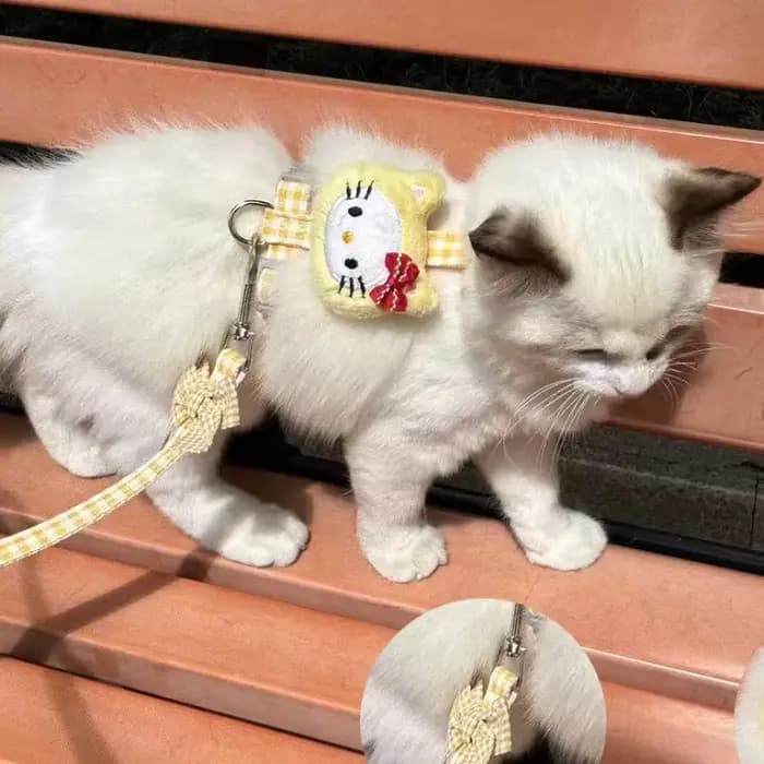 Ensembles de harnais et de laisse pour chat Hello Kitty avec corde de 150 cm, harnais réglable pour chien, sangle respirante pour promenade, accessoire pour chat