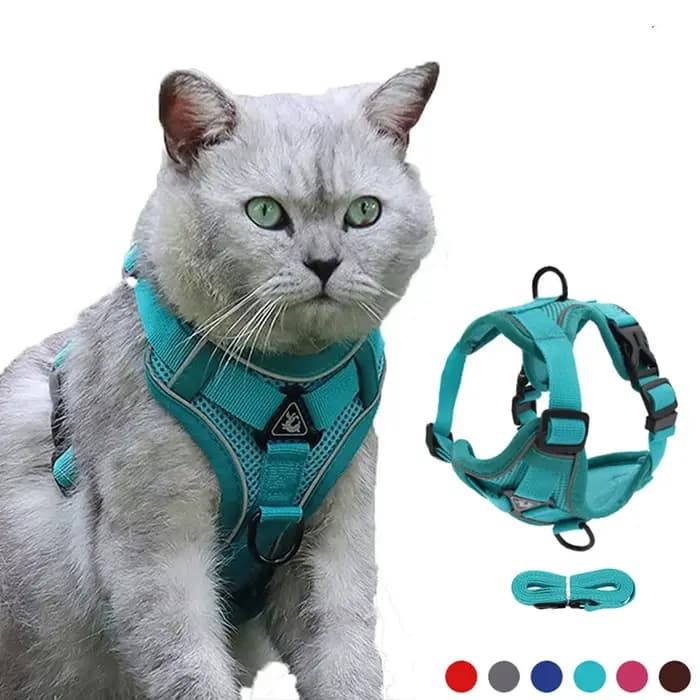 Harnais pour chat anti-fuite