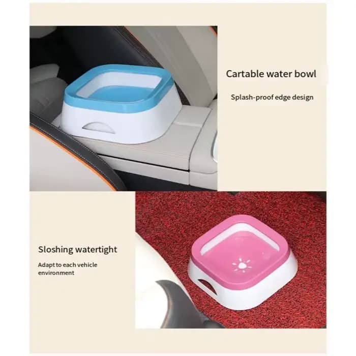 Bol d'eau potable pour chien
