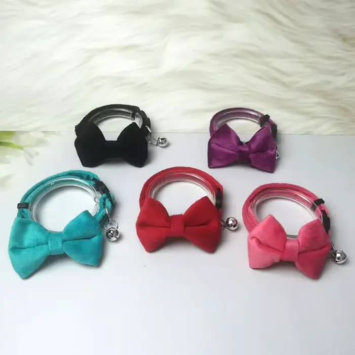 Collier pour animaux de compagnie en velours