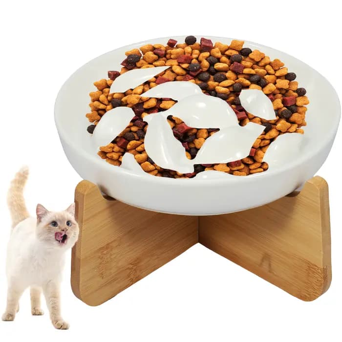 Bol pour chat surélevé bols