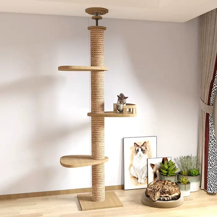 Arbre à chat de haute qualité en bois massif