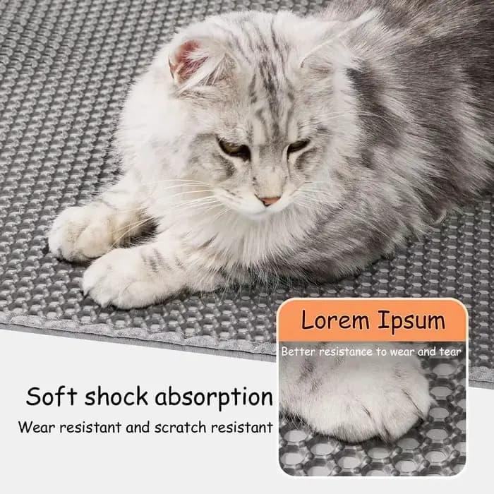 Grand litière pour chat double couche