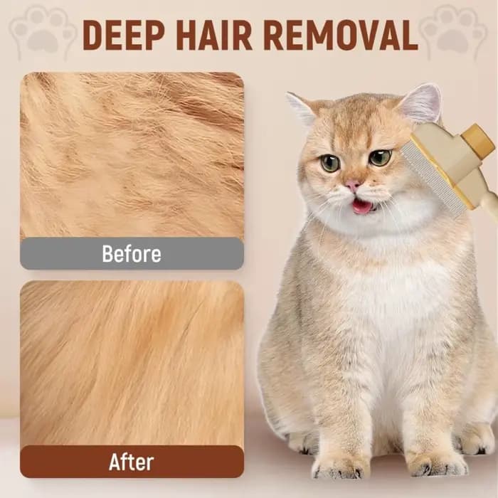 Brosse pour chat pour perdre