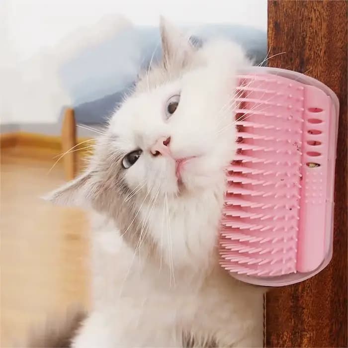 Peigne de Massage à gratter pour chat, brosse à gratter d'angle avec herbe à chat, peigne de démêlage pour animaux de compagnie pour épilation, toilettage
