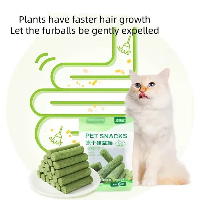 Bâtonnets de herbe à chat séchée