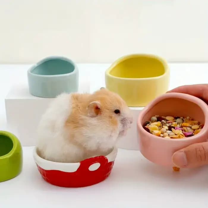 Gamelle anti-évasion pour petits animaux : hamster